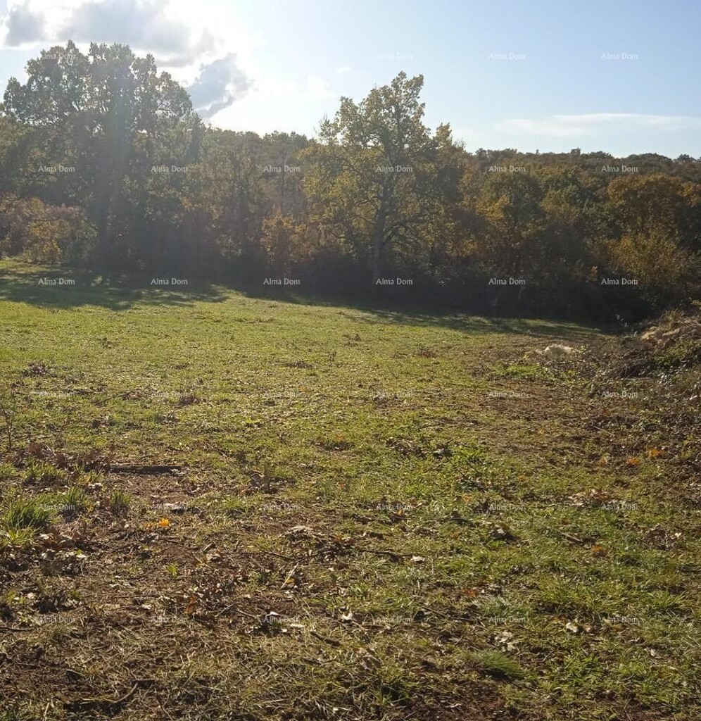 Image 6204887 - 1