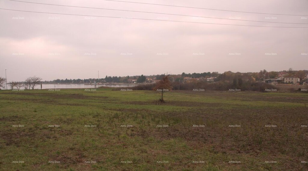 Image 6204891 - 1