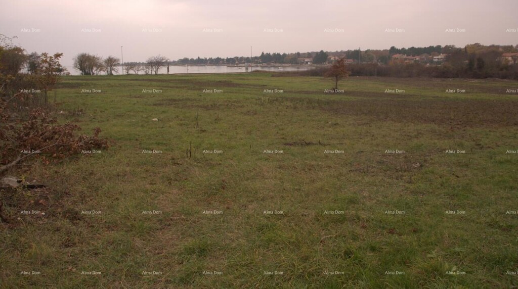 Image 6204891 - 4