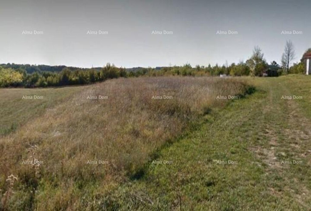 Image 6204902 - 1