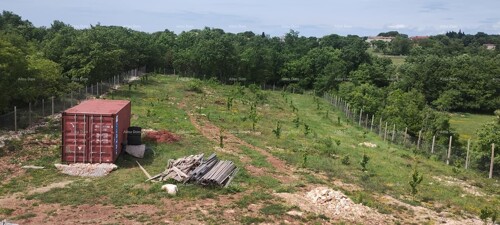 Thumbnail 6204907 - 2