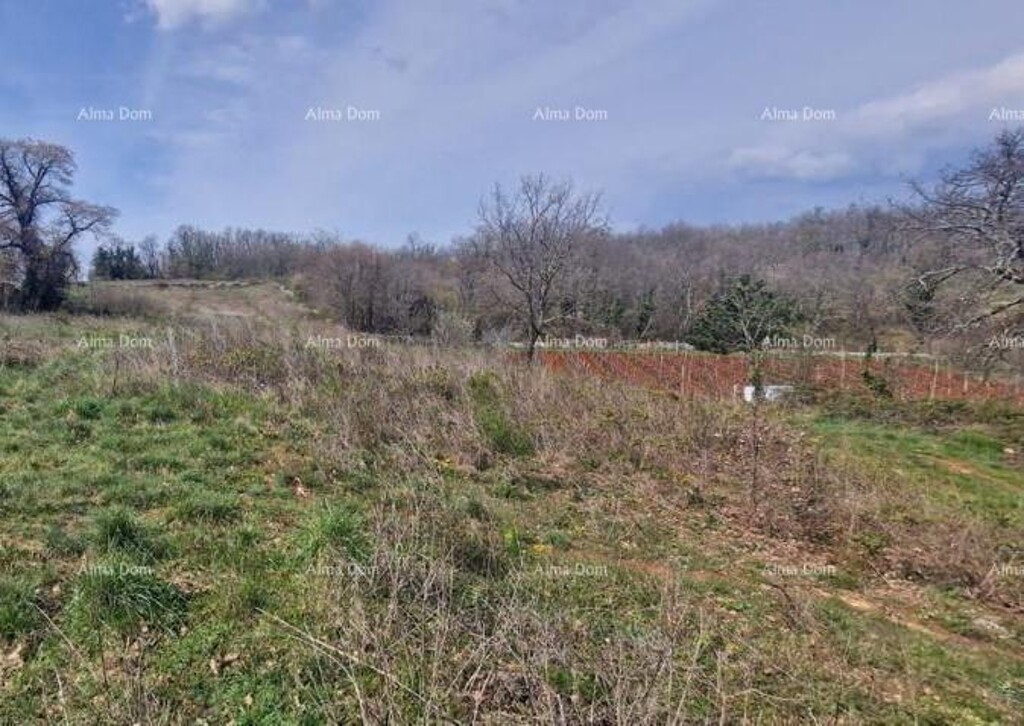 Image 6204967 - 2