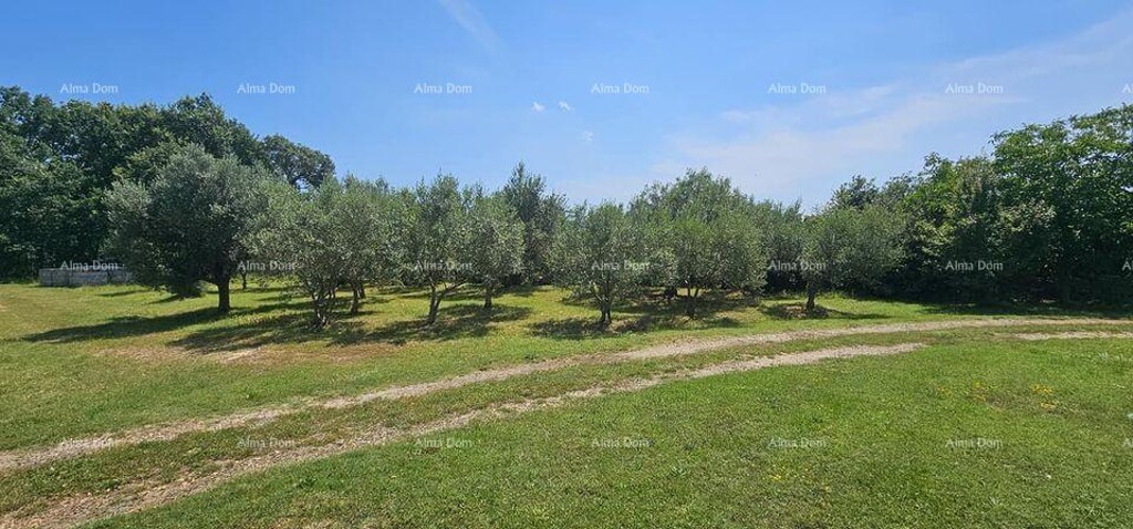 Image 6205017 - 4
