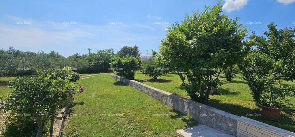 Image 6205017 - 1