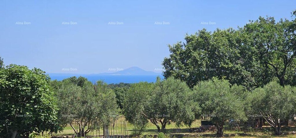 Image 6205017 - 2