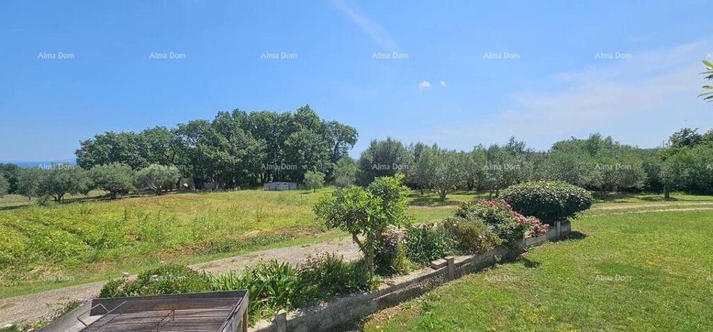 Image 6205017 - 3