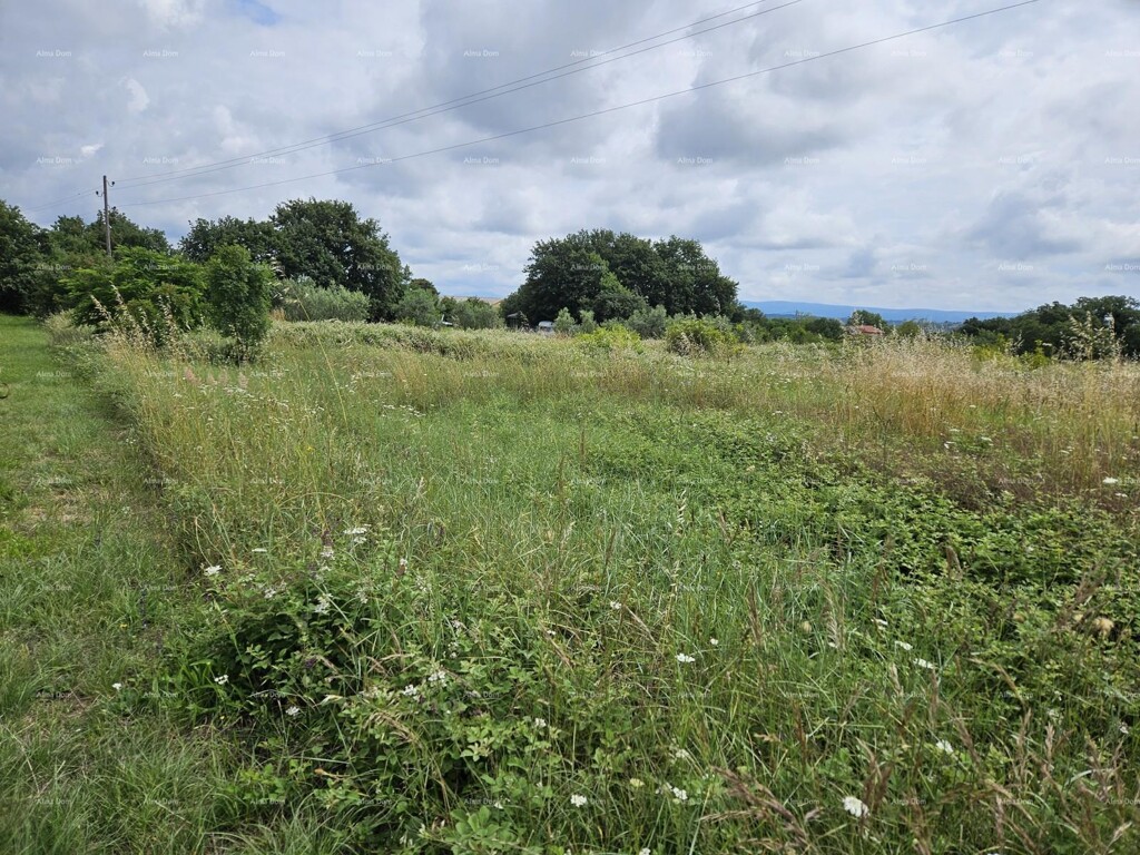 Image 6205035 - 3