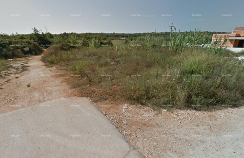 Thumbnail 6205038 - 1