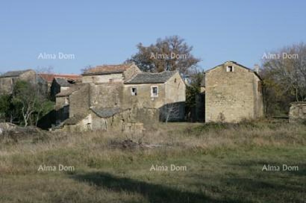 Image 6205098 - 4
