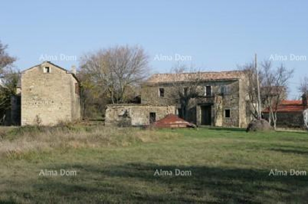 Image 6205098 - 3