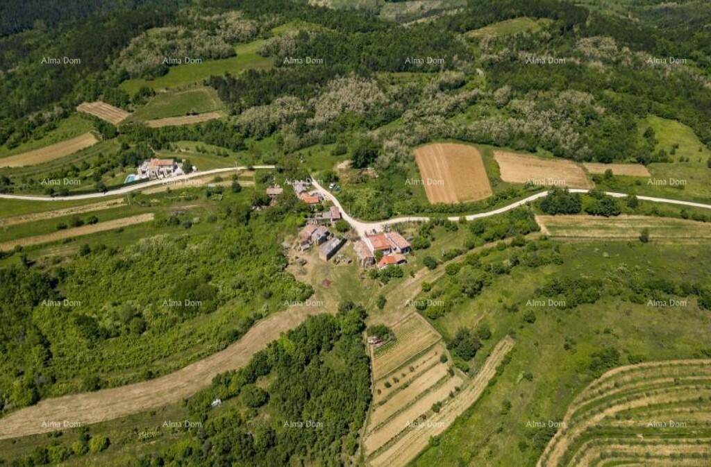 Image 6205098 - 1