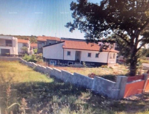 Thumbnail 6205105 - 1