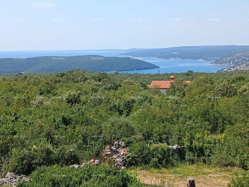 Image 6205130 - 1