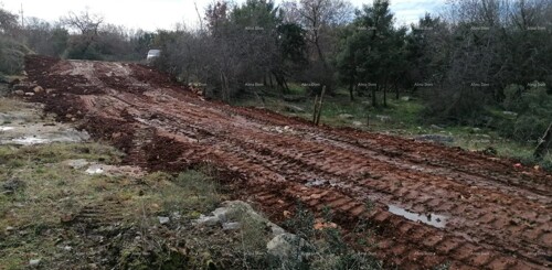 Thumbnail 6205182 - 3