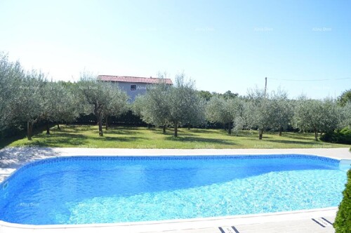 Thumbnail 6205183 - 30