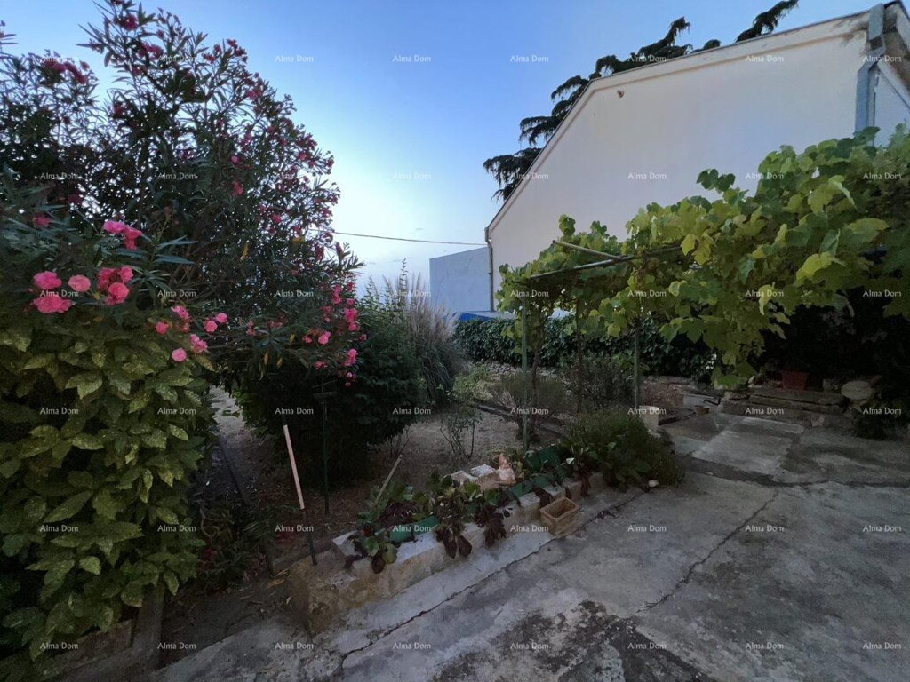 Image 6205185 - 2