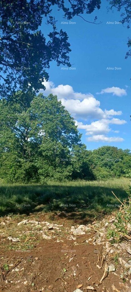 Image 6205196 - 1