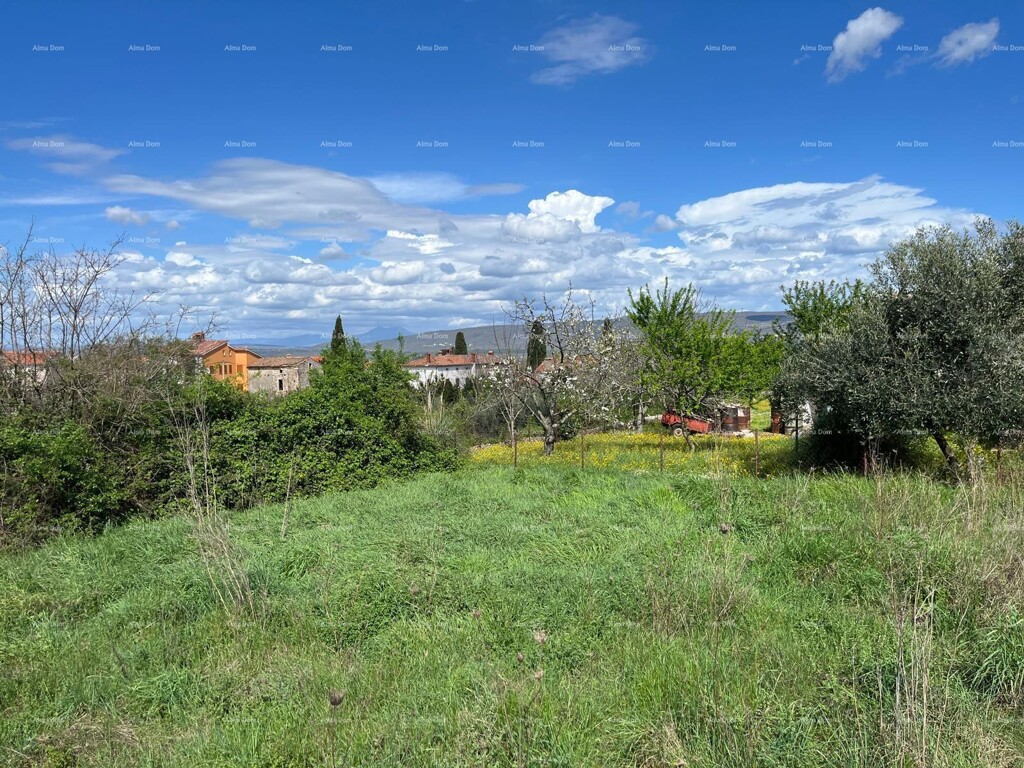 Image 6205248 - 2