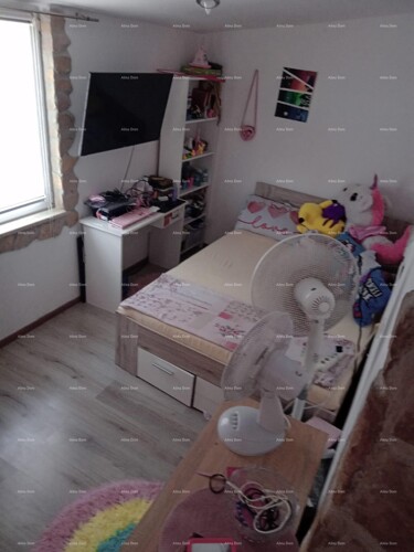 Thumbnail 6205314 - 5
