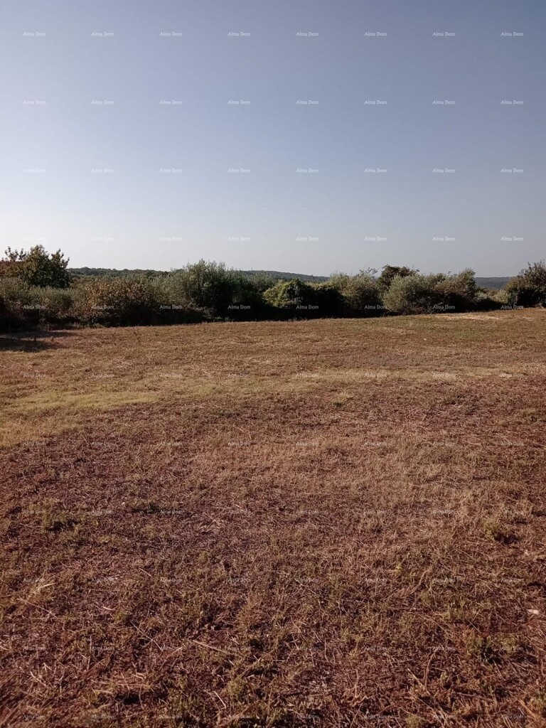 Image 6205354 - 1