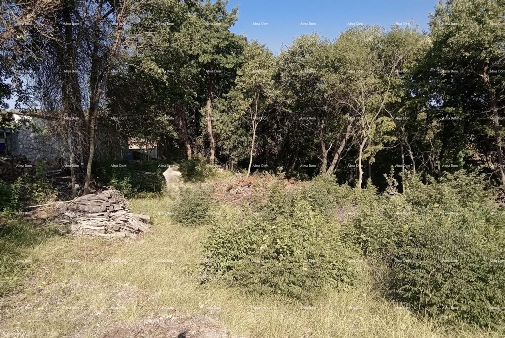 Image 6205356 - 4