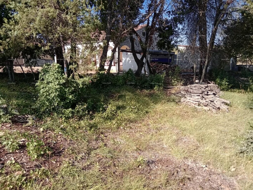 Image 6205356 - 1