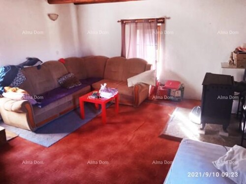 Thumbnail 6205412 - 5