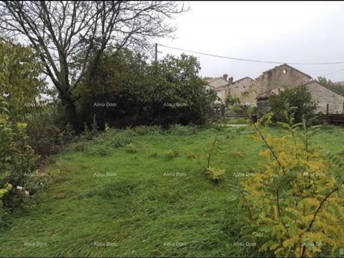 Thumbnail 6205442 - 1