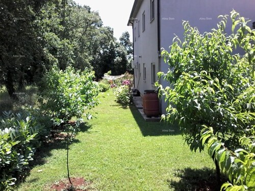 Kuća Prodaje se kuća, Umag