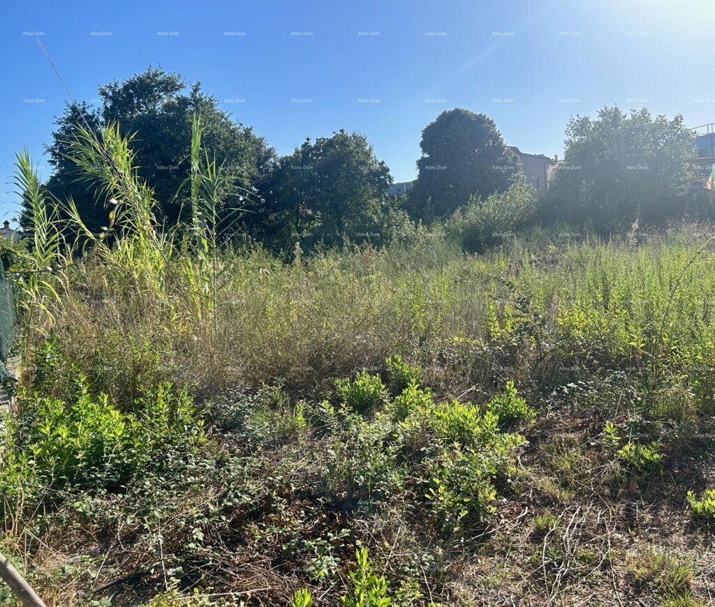 Image 6205449 - 1