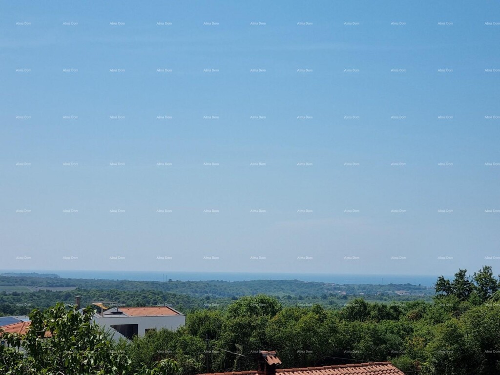 Image 6205556 - 2