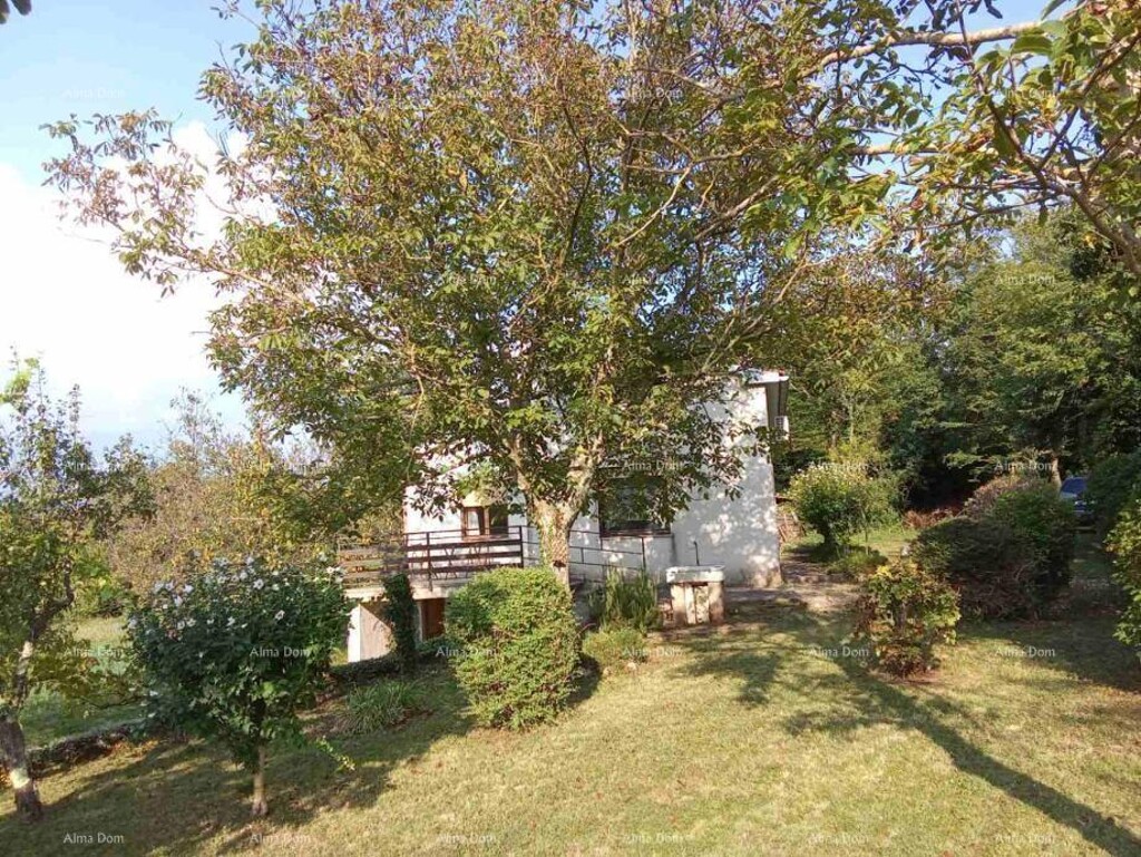 Image 6205611 - 3