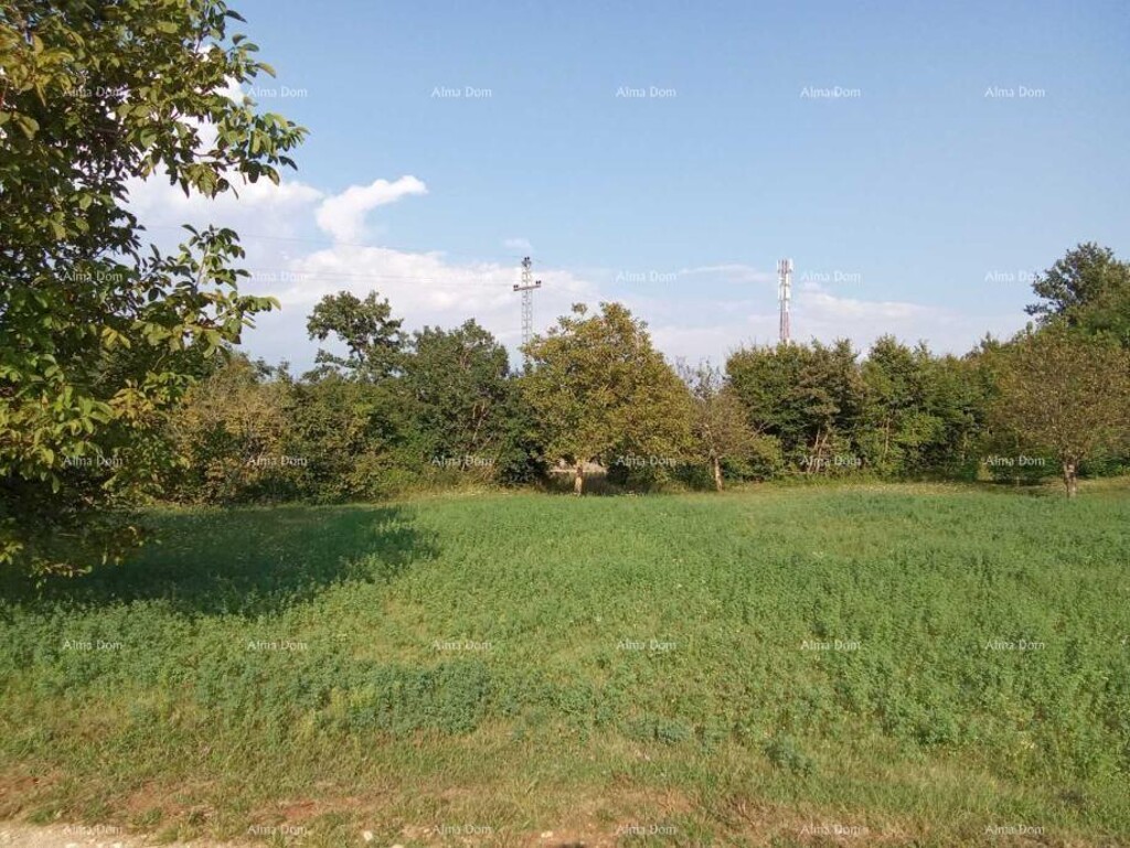 Image 6205611 - 8