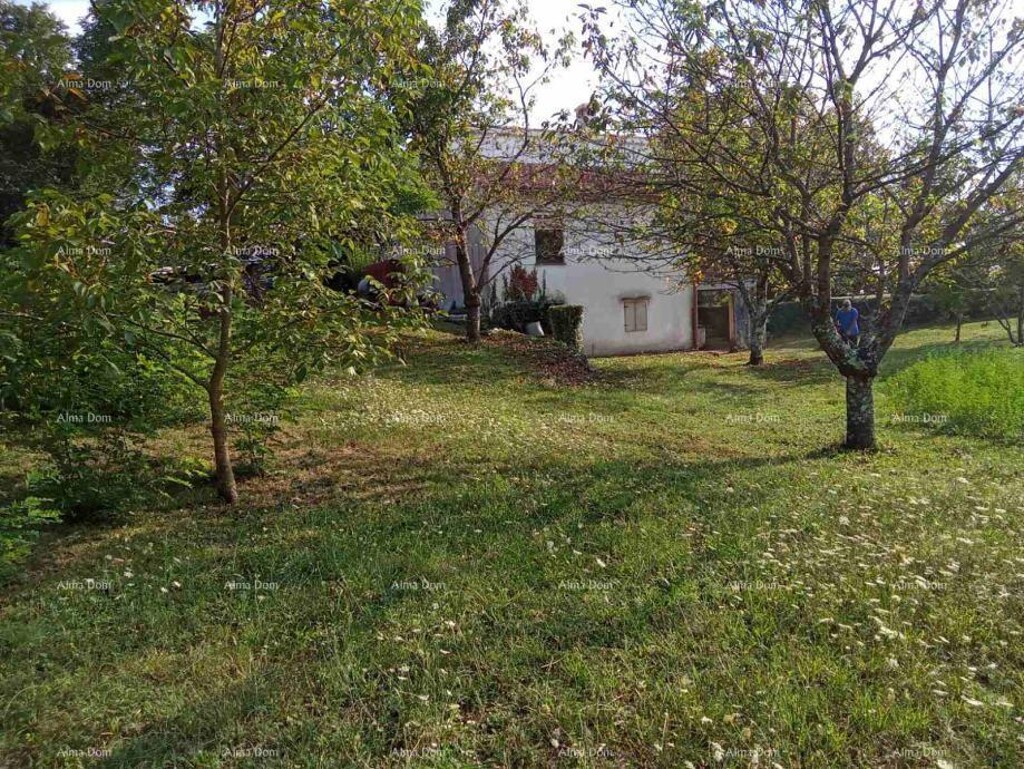 Image 6205611 - 2