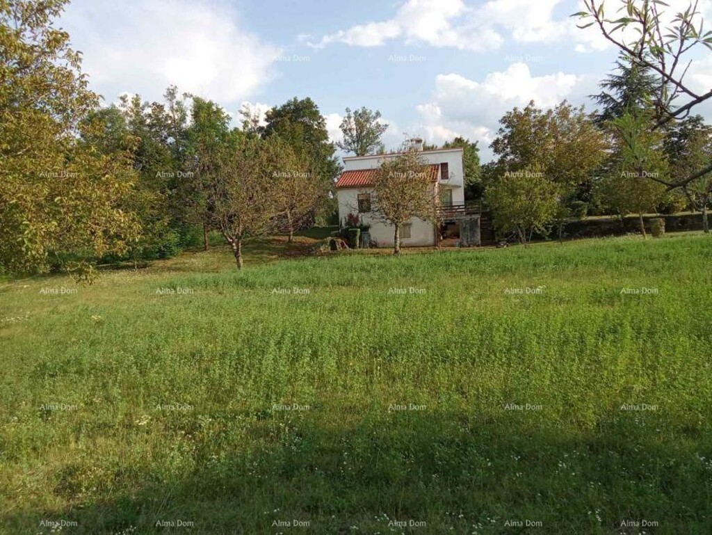 Image 6205611 - 4