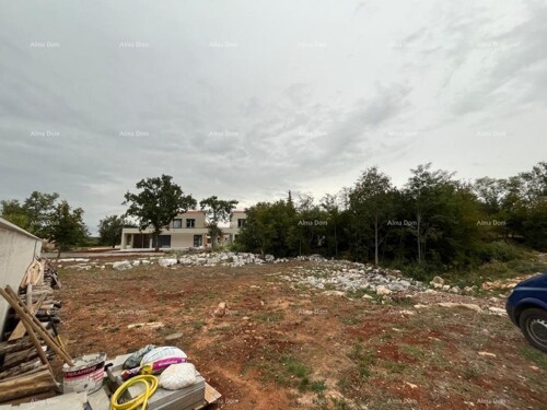 Thumbnail 6205637 - 6
