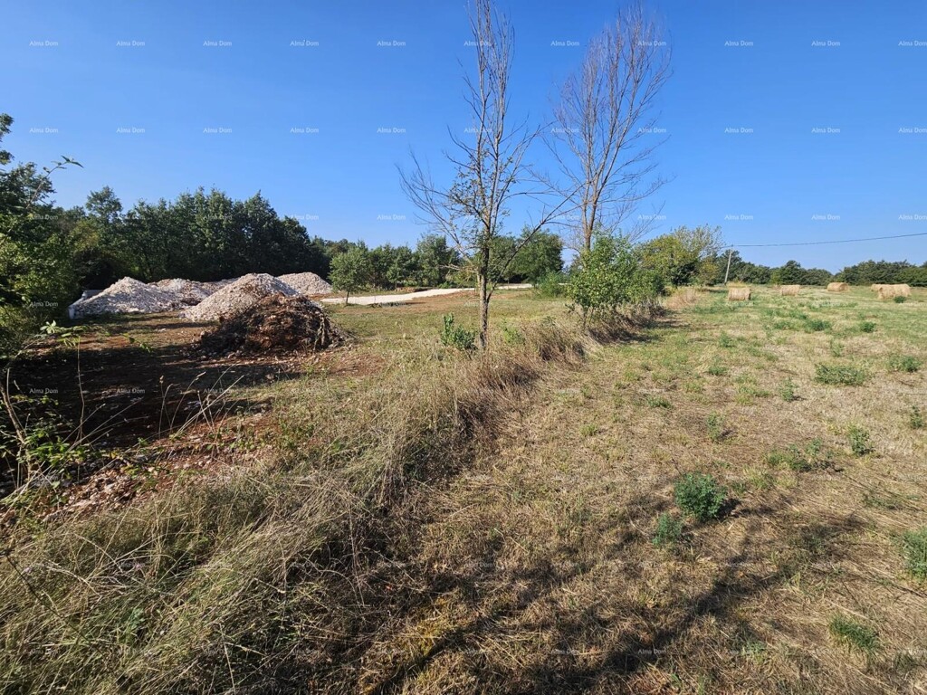 Image 6205650 - 5