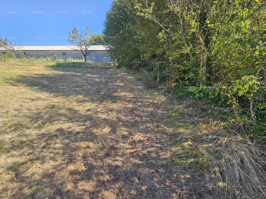 Image 6205650 - 4