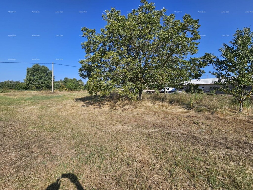 Image 6205650 - 2