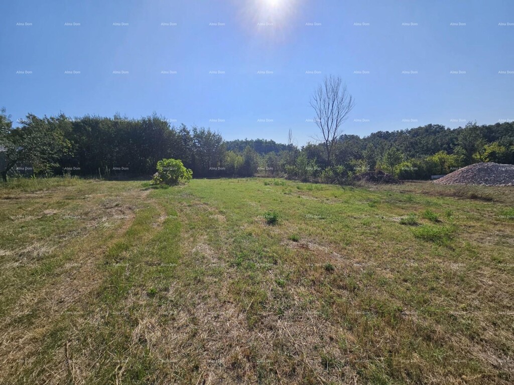 Image 6205650 - 1