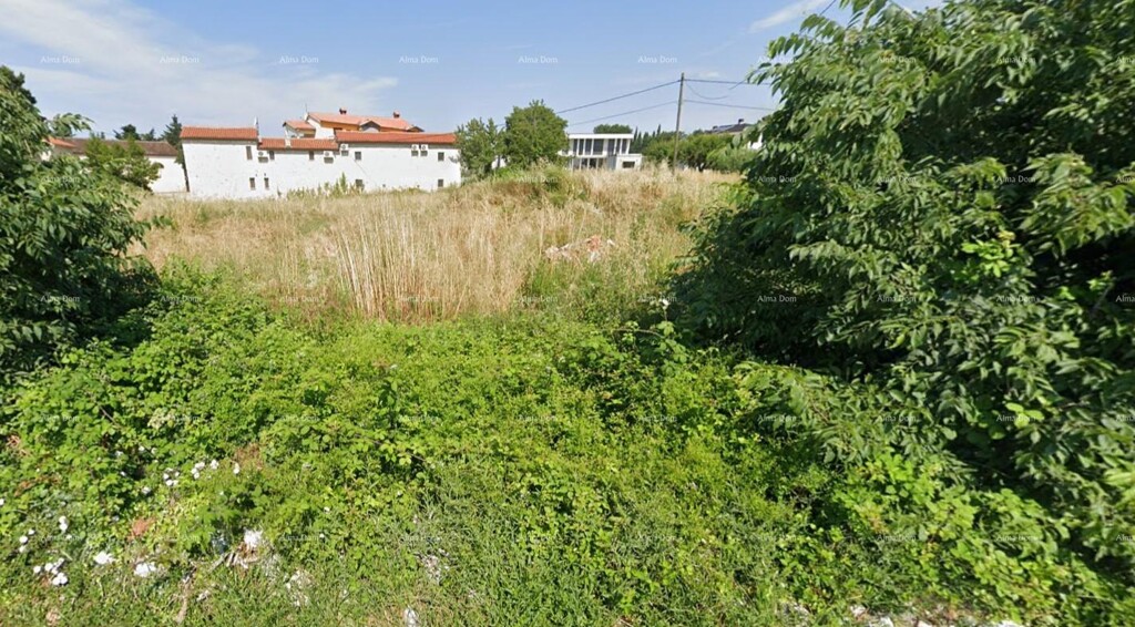 Image 6205654 - 1