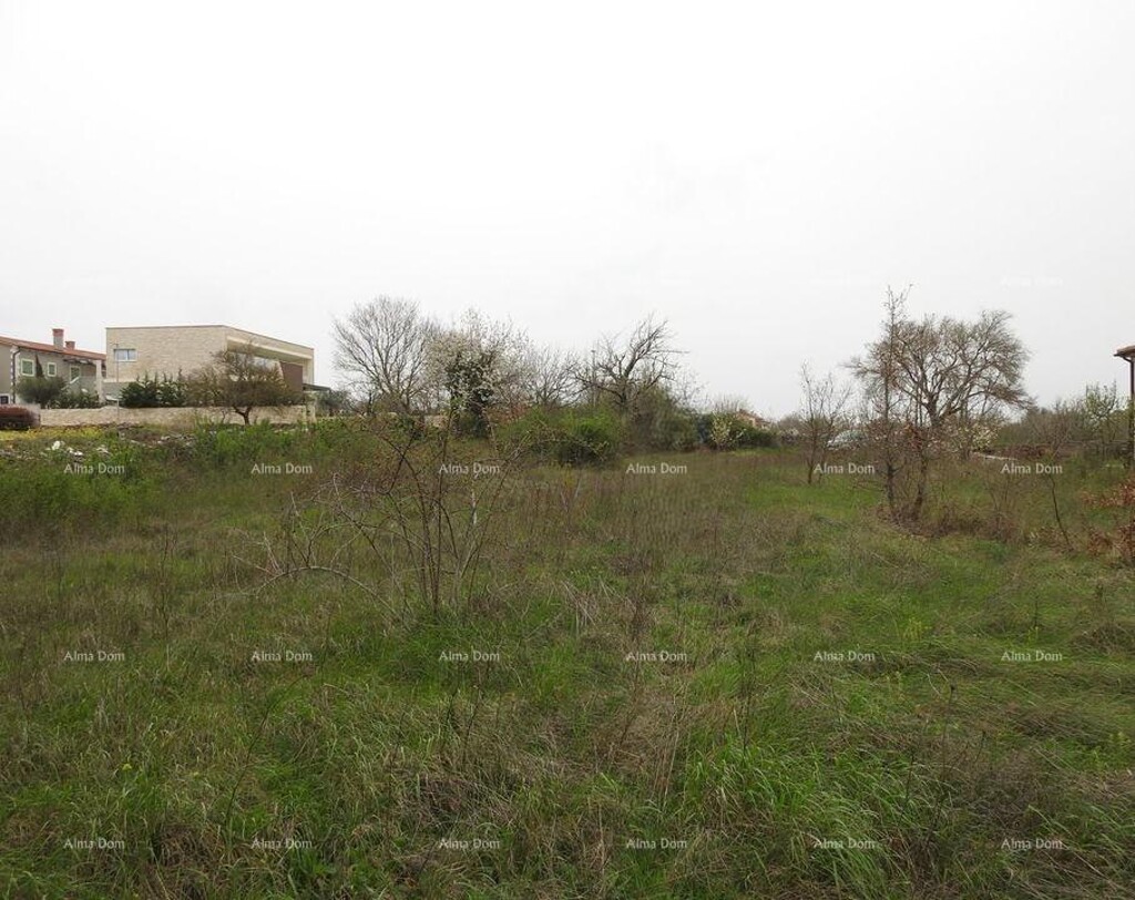 Image 6205655 - 1