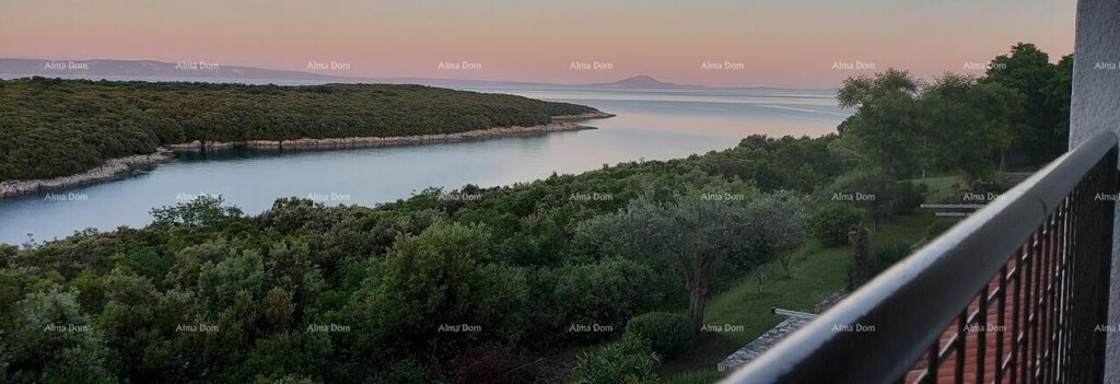 Image 6205686 - 2
