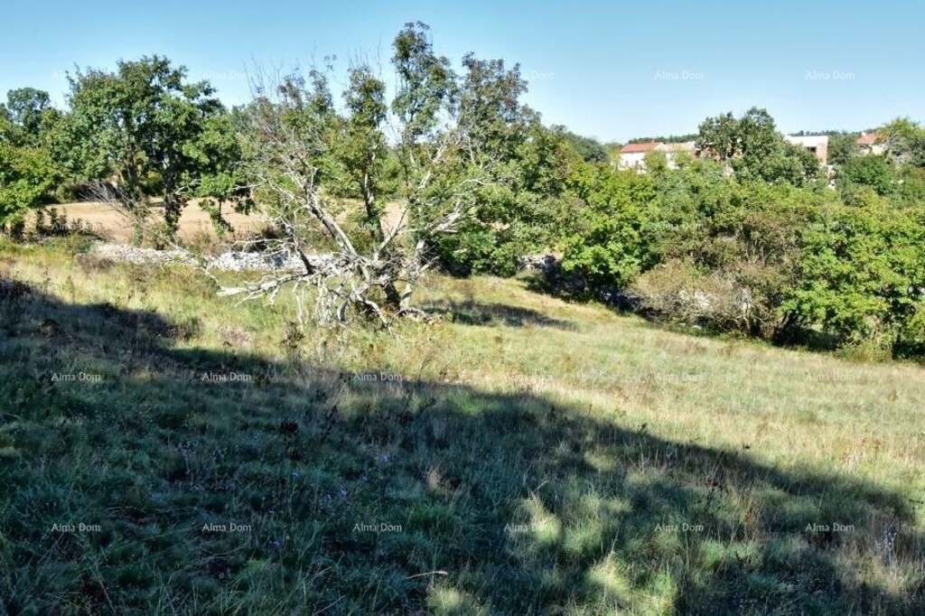Image 6205708 - 7