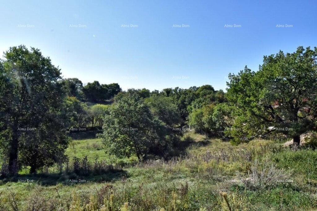 Image 6205708 - 1