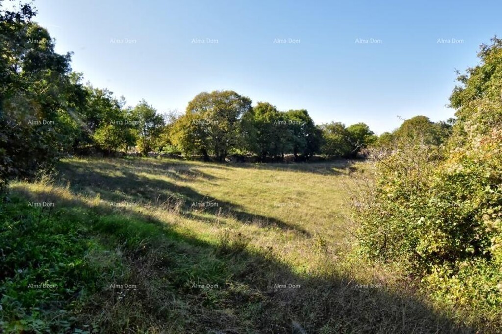 Image 6205708 - 6