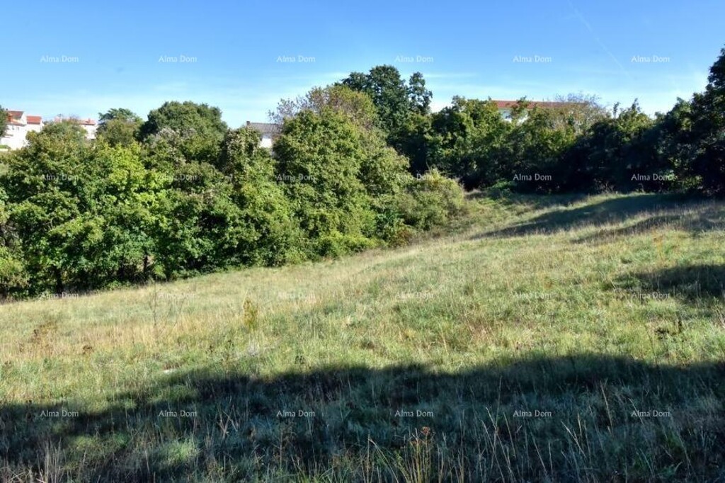 Image 6205708 - 4