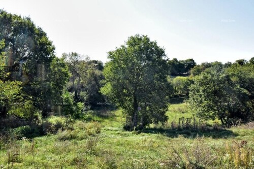 Thumbnail 6205708 - 3
