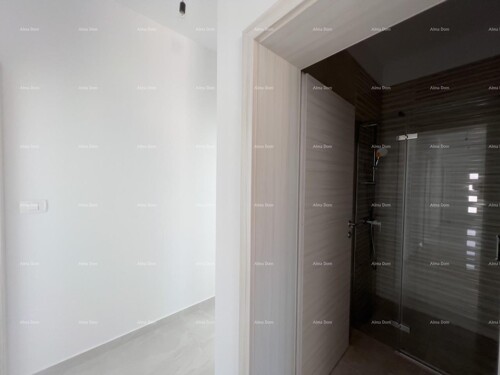 Thumbnail 6205738 - 19