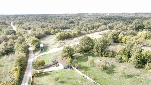 Thumbnail 6205842 - 1